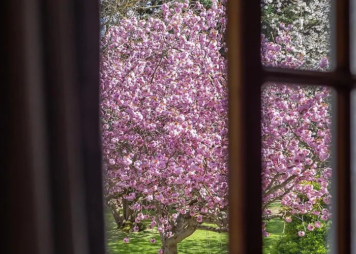 Ferme De La Ranconniere - & Restaurant Hotel 4*