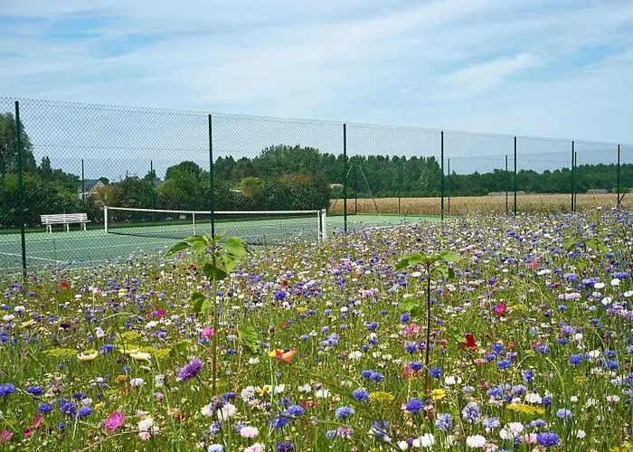 Ferme De La Ranconniere - & Restaurant 4*