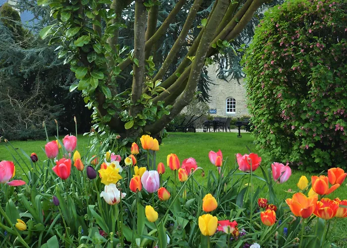 Hotel Ferme De La Ranconniere - & Restaurant